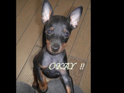 シオンOKAY copy.jpg